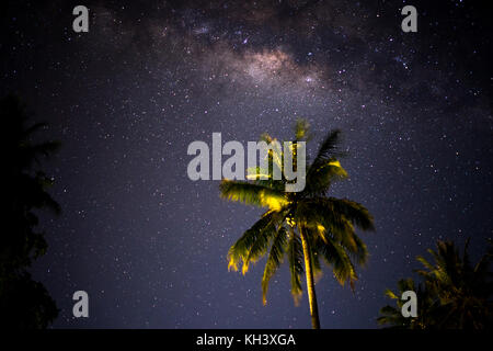 Milkyway hinter Palmen in Indonesien Stockfoto