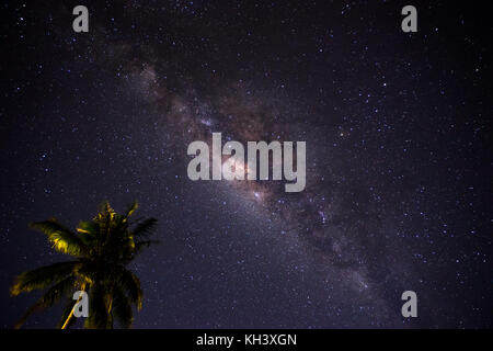 Milkyway hinter Palmen in Indonesien Stockfoto