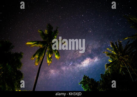 Milkyway hinter Palmen in Indonesien Stockfoto