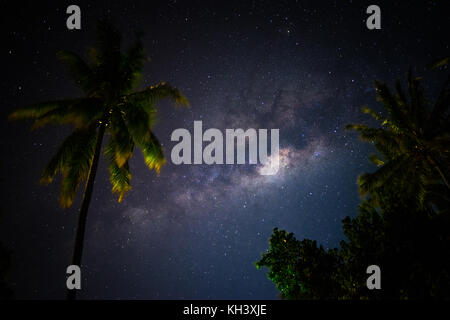 Milkyway hinter Palmen in Indonesien Stockfoto