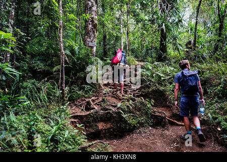 Mount Rinjani auf Lombok Indonesien Stockfoto