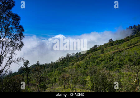 Blick über Wolken von Mountain blue sky Mount Rinjani auf Lombok Ind Stockfoto