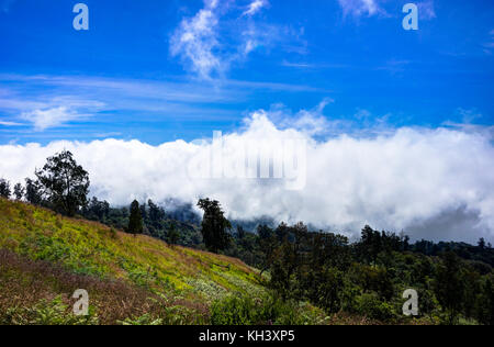 Blick über Wolken von Mountain blue sky Mount Rinjani auf Lombok Ind Stockfoto