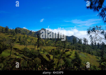 Blick über Wolken von Mountain blue sky Mount Rinjani auf Lombok Ind Stockfoto