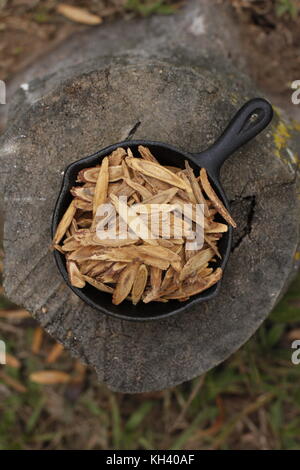 Geschnittene Lakritzwurzel in eiserner Pfanne über rustikalem Holzstamm Stockfoto