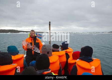 Tour auf dem Gletschersee Stockfoto