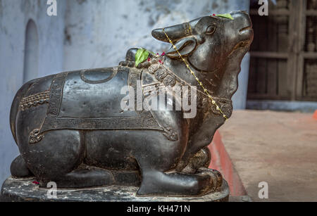 Skulptur der Heiligen Kuh an einen hinduistischen Tempel in Varanasi Indien. Stockfoto