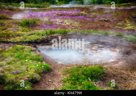 Nahaufnahme einer Wiese mit Dampfenden Thermalquellen, Tal Haukadalur im südlichen Island Stockfoto