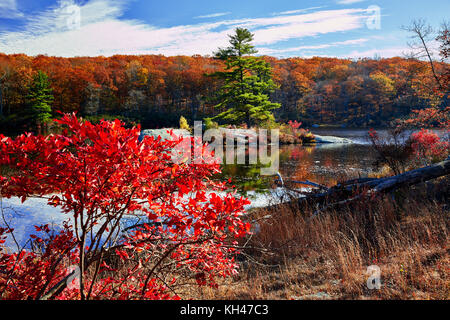 Kleine Insel in einem See im Herbst Laub, harroman State Park, New York, USA Stockfoto