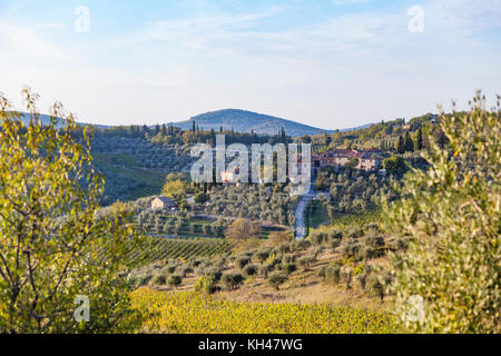 Alter Bauernhof auf einem Hügel mit Weinbergen in der Nähe von Castellina in Chianti in der Goldenen Stunde in der Toskana in Italien Stockfoto