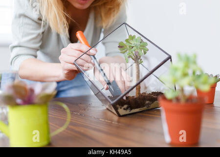 Bild von Floristen Übersicht Master Klasse auf das florarium in Glas Glas Stockfoto