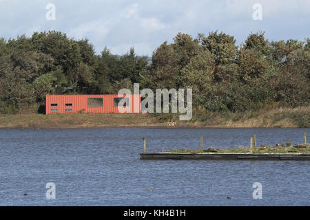 Vogel in der RSPB Reservat am Hafen Immobilien auf Belfast Lough, Nordirland verstecken. Die Haut ist, aus einem Container. Stockfoto