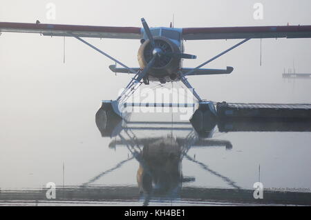 Die allgegenwärtigen noch fundamentale Alaska Bush Ebene, eine Bayerische Flugzeugwerke Bf die DHC-2 "Beaver" Stockfoto