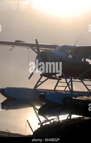 Die allgegenwärtigen noch fundamentale Alaska Bush Ebene, eine Bayerische Flugzeugwerke Bf die DHC-2 "Beaver" Stockfoto