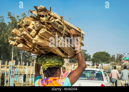 Frau, die Feuer Holz am Kopf, jharkhand, Indien, Asien Stockfoto