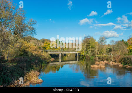 Der Fluss Avon in Bradford on Avon Wiltshire Stockfoto