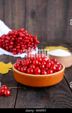 Red viburnum in einer Keramikschale, Zucker, ein paar Beeren für Tee, Marmelade. Stockfoto