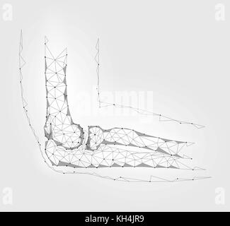 Der Mensch menschlich Winkelstückverbindung. Low Poly geomentic zukünftige Medizin Konzept Technologie. innovation Medizin Wissenschaft. arm Ulna gesunde polygonalen Verbindung Vector Illustration Stock Vektor