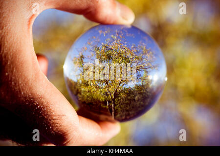 Nahaufnahme der Hand eines jungen kaukasischen Mann draußen halten eine Kristallkugel, wo es einen Baum widerspiegelt Stockfoto