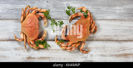 Zwei frisch zubereitete Dungeness Krabben auf rustikalen weißen Brettern Stockfoto