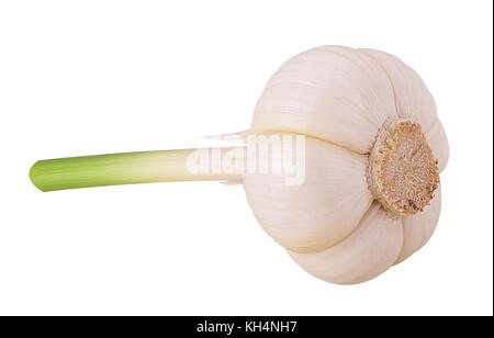 Frische junge Knoblauch auf weißem Hintergrund. freistellungspfaden. volle Tiefenschärfe. Stockfoto