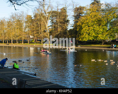 Die ruderer auf dem Fluss Avon Evesham Worcestershire England Großbritannien auf einem schönen ruhigen November Tag Stockfoto