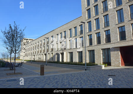 Moderne Wohnblocks in der neuen Entwicklung von eddington North West Cambridge Stockfoto