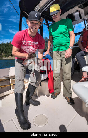 Zwei Männer, Vater und Sohn, mit gefangenem Fisch, Lingcod, auf dem Boot in Vancouver Island, British Columbia, Kanada Stockfoto