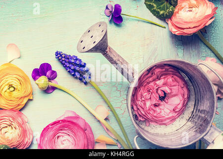 Gießkanne und Garten Blumen auf Vintage shabby chic Hintergrund, Ansicht von oben, Kopieren, Sommer Garten Konzept Stockfoto