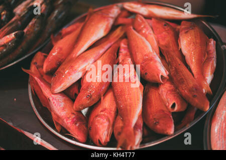 Frische Fische mullus auf Anzeige auf Eis auf Fischer Markt store Shop. Fisch Hintergrund. top anzeigen. mullus ist ein subtropisches marine Gattung von percifo Stockfoto