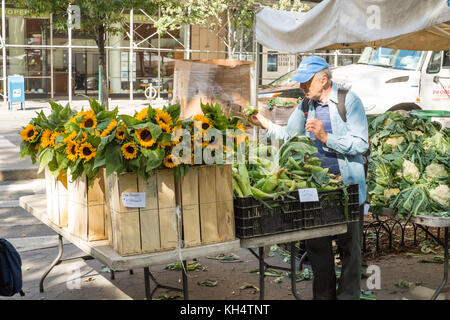 79Th Street Greenmarket, Bauernmarkt, in der Columbus Avenue, New York City, NY, Vereinigte Staaten von Amerika. Stockfoto