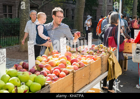 79Th Street Greenmarket, Bauernmarkt, in der Columbus Avenue, New York City, NY, Vereinigte Staaten von Amerika. Stockfoto