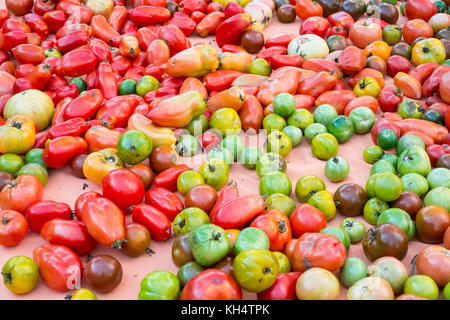 Heirloom Tomaten zum Verkauf an der 79th Street Greenmarket, Bauernmarkt, in der Columbus Avenue, New York City, NY, Vereinigte Staaten von Amerika. Stockfoto