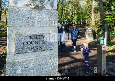 Der Eingang zum Tehidy Country Park in Cornwall UK Stockfoto