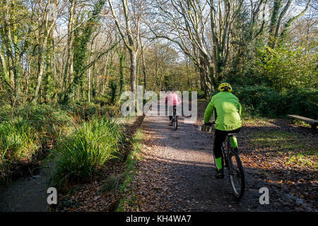 Radfahrer fahren entlang einer Strecke in einem herbstlichen Tehidy Country Park Cornwall UK. Stockfoto