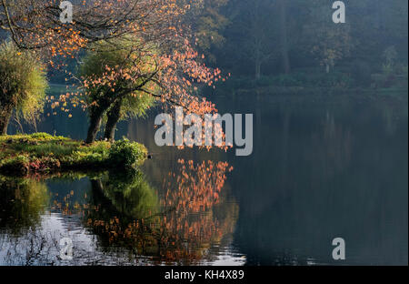 Zweige eines Baumes mit Herbstlaub überragt die See im ruhigen Wasser gegen einen dunklen Hintergrund reflektiert Stockfoto