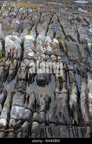 Felsformationen auf elgol Strand Insel Skye Stockfoto