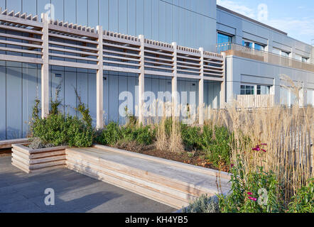 Überdachte Garten. 55 Victoria Street, London, Vereinigtes Königreich. Architekt: Steif+Trevillion Architekten, 2017. Stockfoto