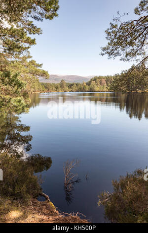 Uath Lochan am Glen Feshie in den Highlands von Schottland. Stockfoto