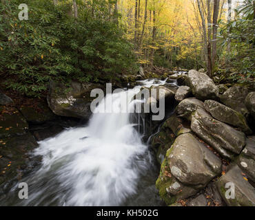 Lynn camp prong ist einer der beiden wichtigsten Nebenflüsse, die den mittleren Stift der kleine Fluss in der Great Smokey Mountain National Park machen. Es kann über den mittleren Stift Trail, den Stream folgt zugegriffen werden. Der Little River ist etwa 60 km lang und sehr reizvoll. Es beginnt innerhalb der Great Smoky Nationalpark und schließlich mündet in die Tennessee River am Fort loudon See. Stockfoto