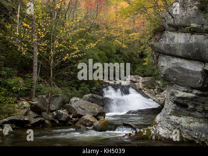 Lynn camp prong ist einer der beiden wichtigsten Nebenflüsse, die den mittleren Stift der kleine Fluss in der Great Smokey Mountain National Park machen. Es kann über den mittleren Stift Trail, den Stream folgt zugegriffen werden. Der Little River ist etwa 60 km lang und sehr reizvoll. Es beginnt innerhalb der Great Smoky Nationalpark und schließlich mündet in die Tennessee River am Fort loudon See. Stockfoto