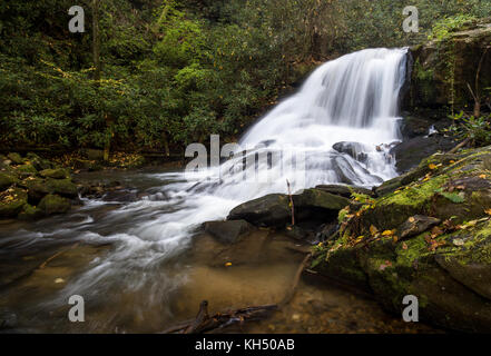 Wildcat Creek liegt in Rabun County im Norden Georgiens.  Es fließt in der Regel West nach Ost, mündet in Lake Burton entlang der westlichen Seite.  Es gibt einen gut entwickelter Campingplatz entlang Wildcat Creek Road, die den Zugang zu den Creek in diesem Bereich ist.  Es ist jährlich mit Regenbogenforellen bestückt und ist sehr beliebt bei Fischer. Stockfoto