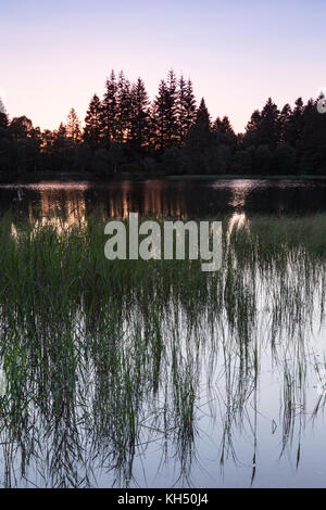 Queens Loch in Aboyne auf Royal Deeside in Schottland. Stockfoto