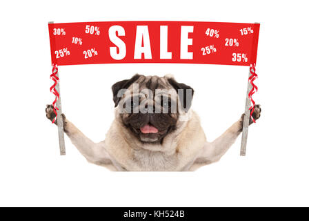 Glücklich süße Mops Welpen Hund bis rot Werbemittel Banner mit Text Verkauf, auf weißem Hintergrund Stockfoto