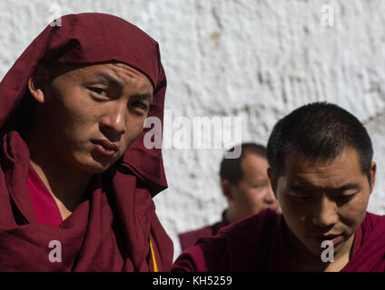 Mönche im Kloster Rongwo, Tongren County, Longwu, China Stockfoto