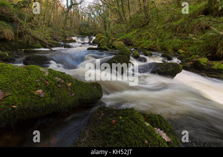 Golitha Falls im Osten Cornwall Stockfoto