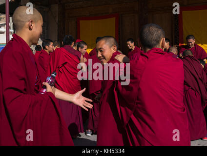 Mönche im Kloster Rongwo, Tongren County, Longwu, China Stockfoto