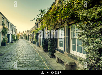 Blick entlang dem traditionellen Mews Lane in Stockbridge Bezirk, Edinburgh, Schottland, Vereinigtes Königreich Stockfoto