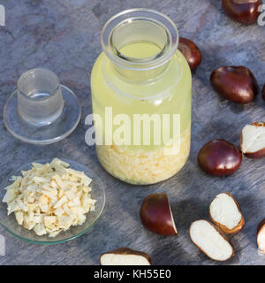 Rosskastanie-Tinktur, Rosskastanien-Tinktur, Kastanie-Tinktur, Kastanien-Tinktur, zerkleinere Rosskastanien, Kastanien werden in Alkohol ausgezogen, Stockfoto