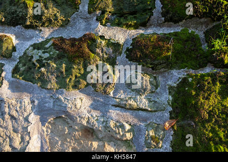 Fachwerkhaus in Harsleben Stockfoto